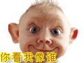 黄色aaa日逼 - 综述|