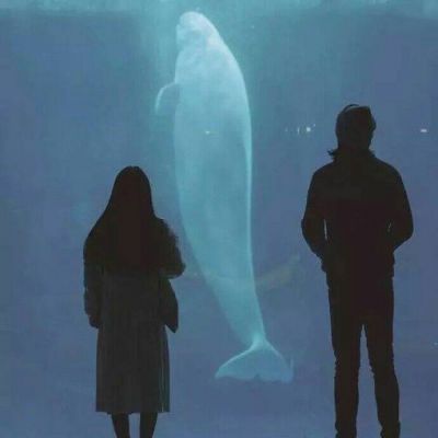 崩坏3女武神的堕落餐厅第5季玩法 - mgm