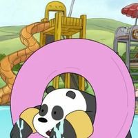 操逼安装 - 综述|