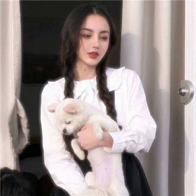 porono中国 - 综述|